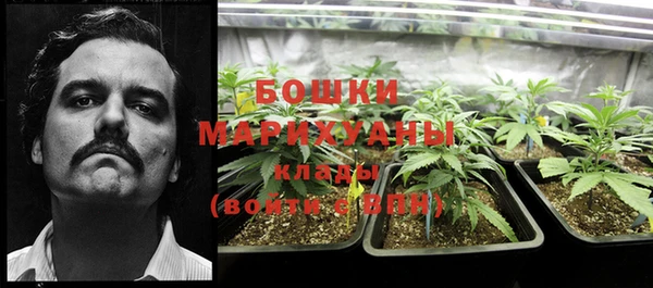 a pvp Белокуриха