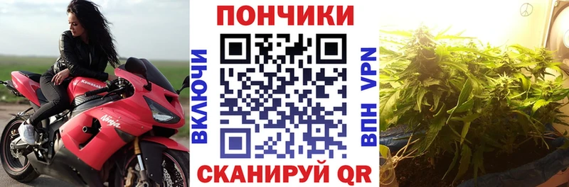 Купить где  Михайловск  МАРИХУАНА White Widow 